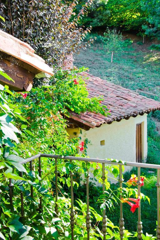 Posada Las Espedillas カマレニョ 部屋 写真